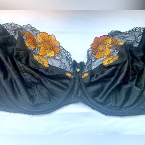 Ewa Michalak Bm Bra 70GG